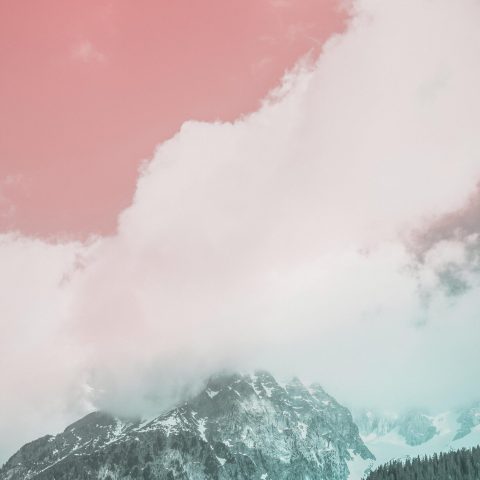 pexels-eberhardgross-2088172