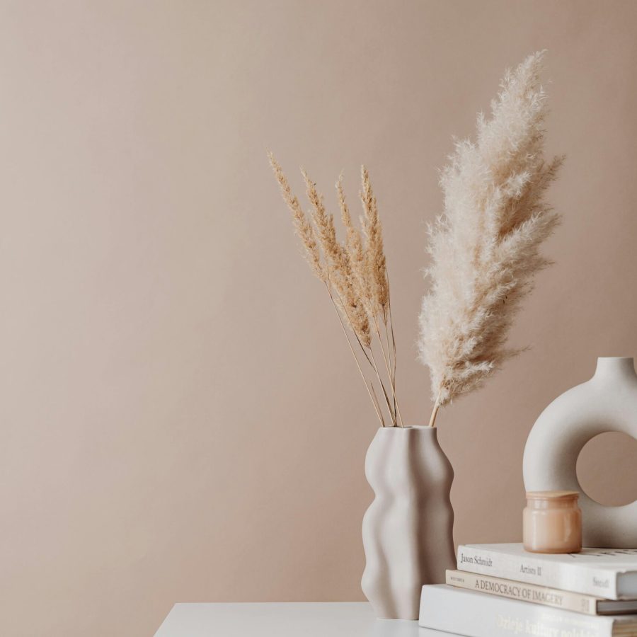 pexels-karolina-grabowska-6805518